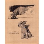 Cecil Aldin Vintage Dog Illustrations Irish Wolfhound & Wire-Haired Terrier-3.