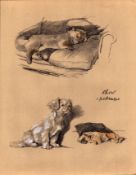 Cecil Aldin 1936 Vintage Dog Illustrations Chow And Pekinese-18.