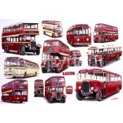 Lancashire Ribble Bus Service Montage Nostalgic Metal Wall Art