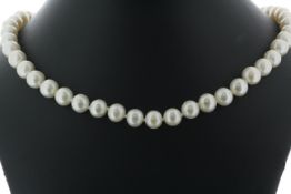 26 inch Freshwater Cultured 7.0 - 7.5mm Pearl Necklace With Silver Clasp
