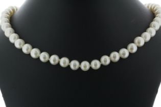 26 inch Freshwater Cultured 7.0 - 7.5mm Pearl Necklace With Silver Clasp