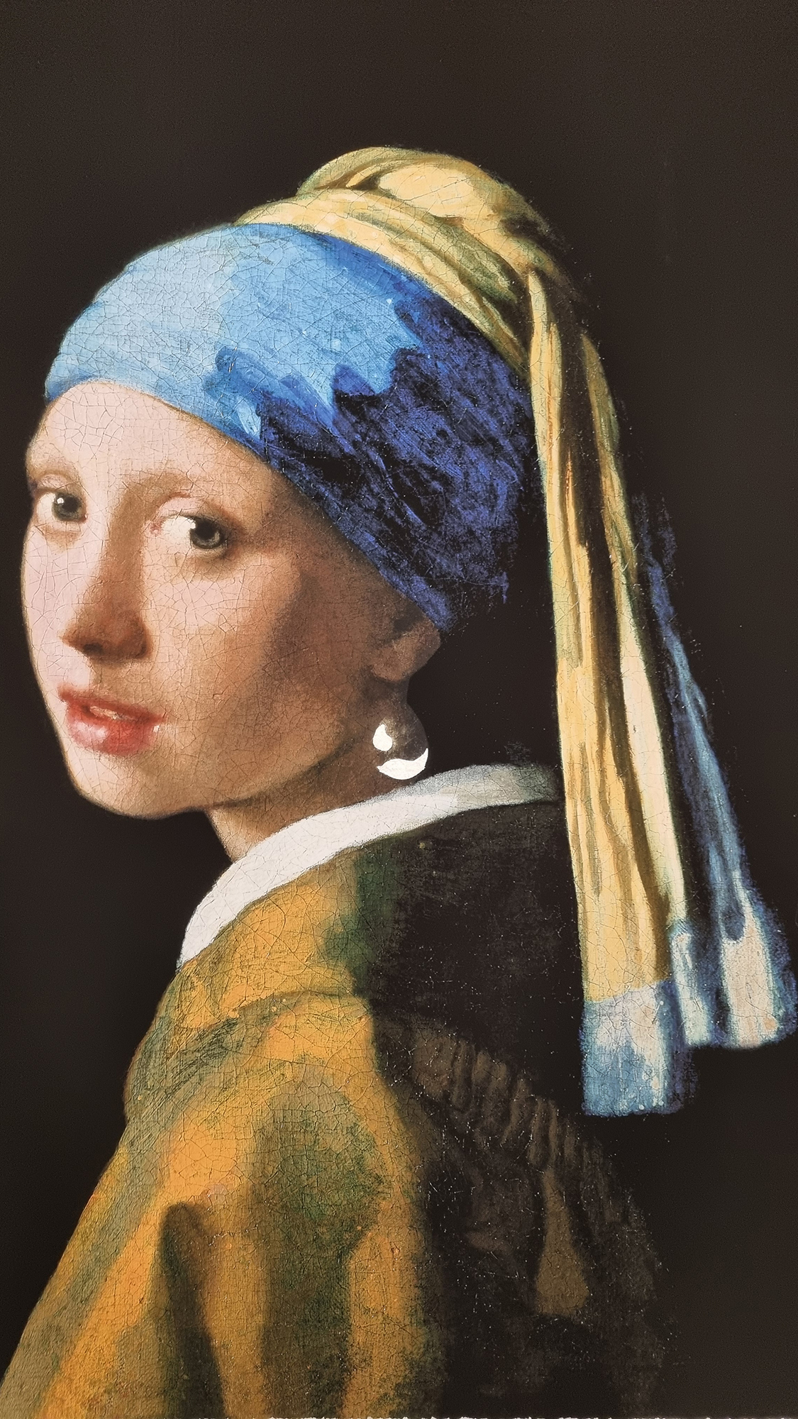 Johannes Vermeer 'Girl with a Pearl Earring' Platinum Leaf Rare Limited Edition - Image 3 of 9
