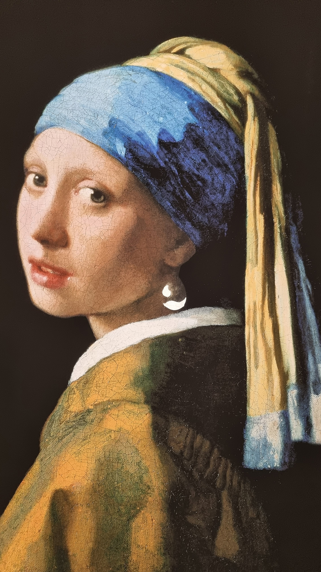 Johannes Vermeer 'Girl with a Pearl Earring' Platinum Leaf Rare Limited Edition - Image 8 of 9