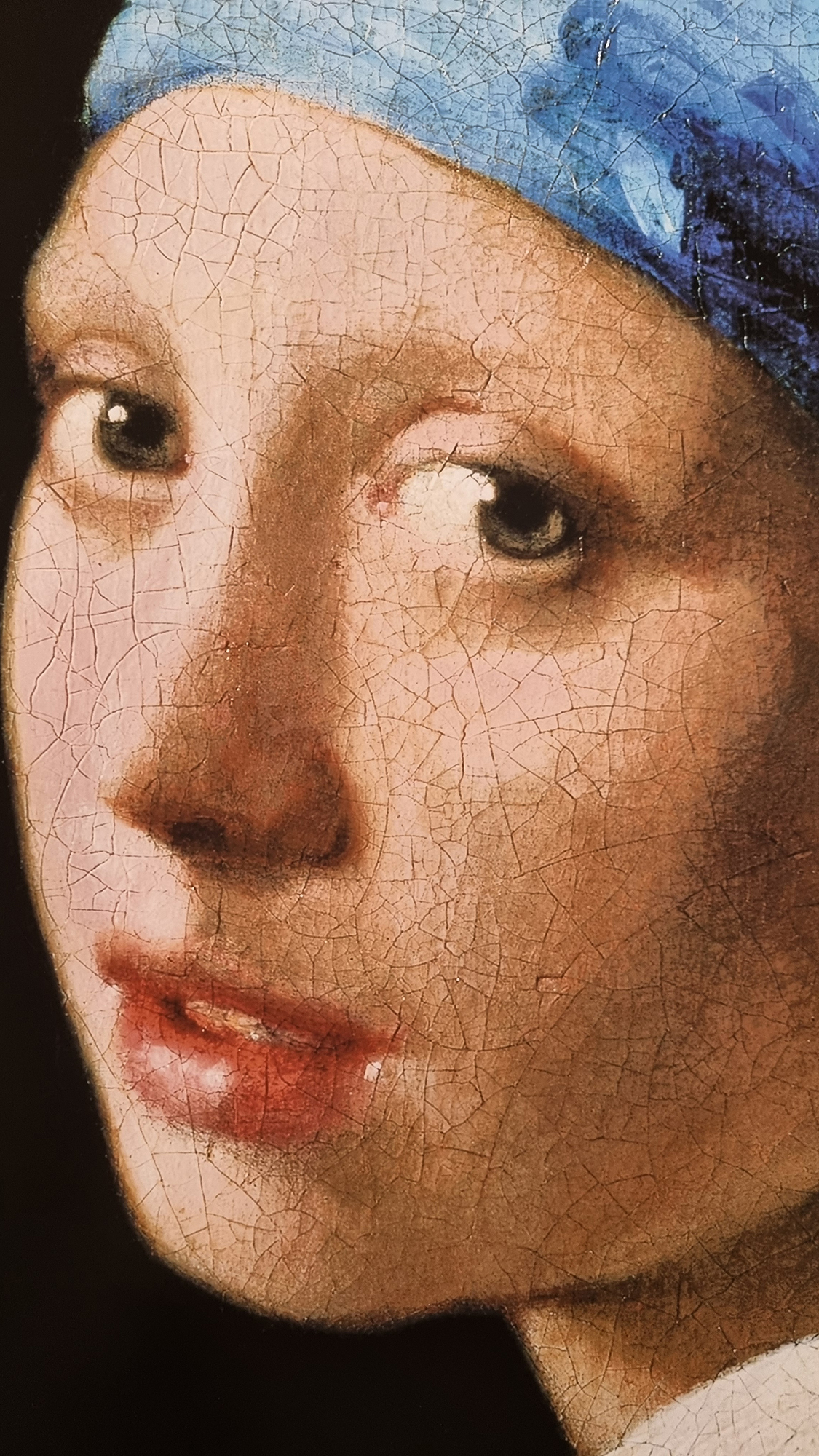 Johannes Vermeer 'Girl with a Pearl Earring' Platinum Leaf Rare Limited Edition - Image 6 of 9