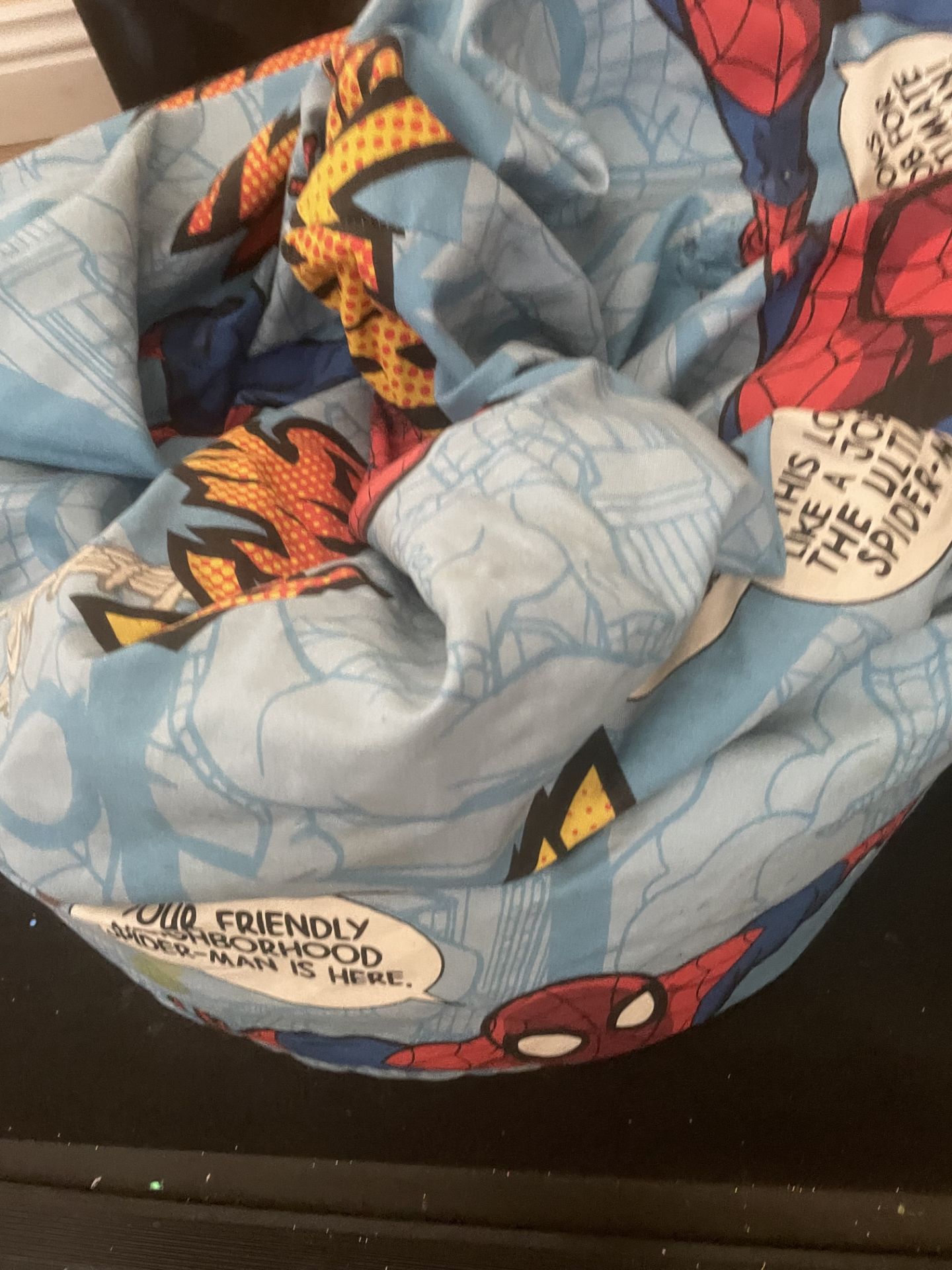 Spider Man Bean Bag