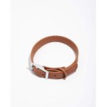 Wild One Collar, XS, Cocoa Brown