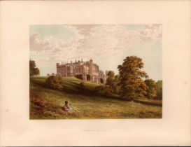 Lambton Castle Co Durham Gilt-Edge Coloured Antique Book Plate.