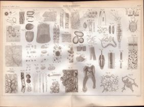 Experimental Physics Optics Meteorology Instruments Etc Antique Diagram-8.