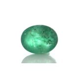 Loose Oval Emerald 5.58 Carats