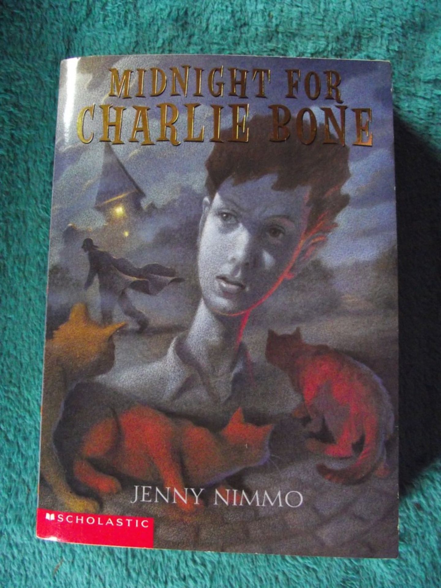 Jenny Nimmo - Children of The Red King (Charlie Bone) - 13 Books - All 1st/1st & Signed - Unrea... - Image 48 of 63