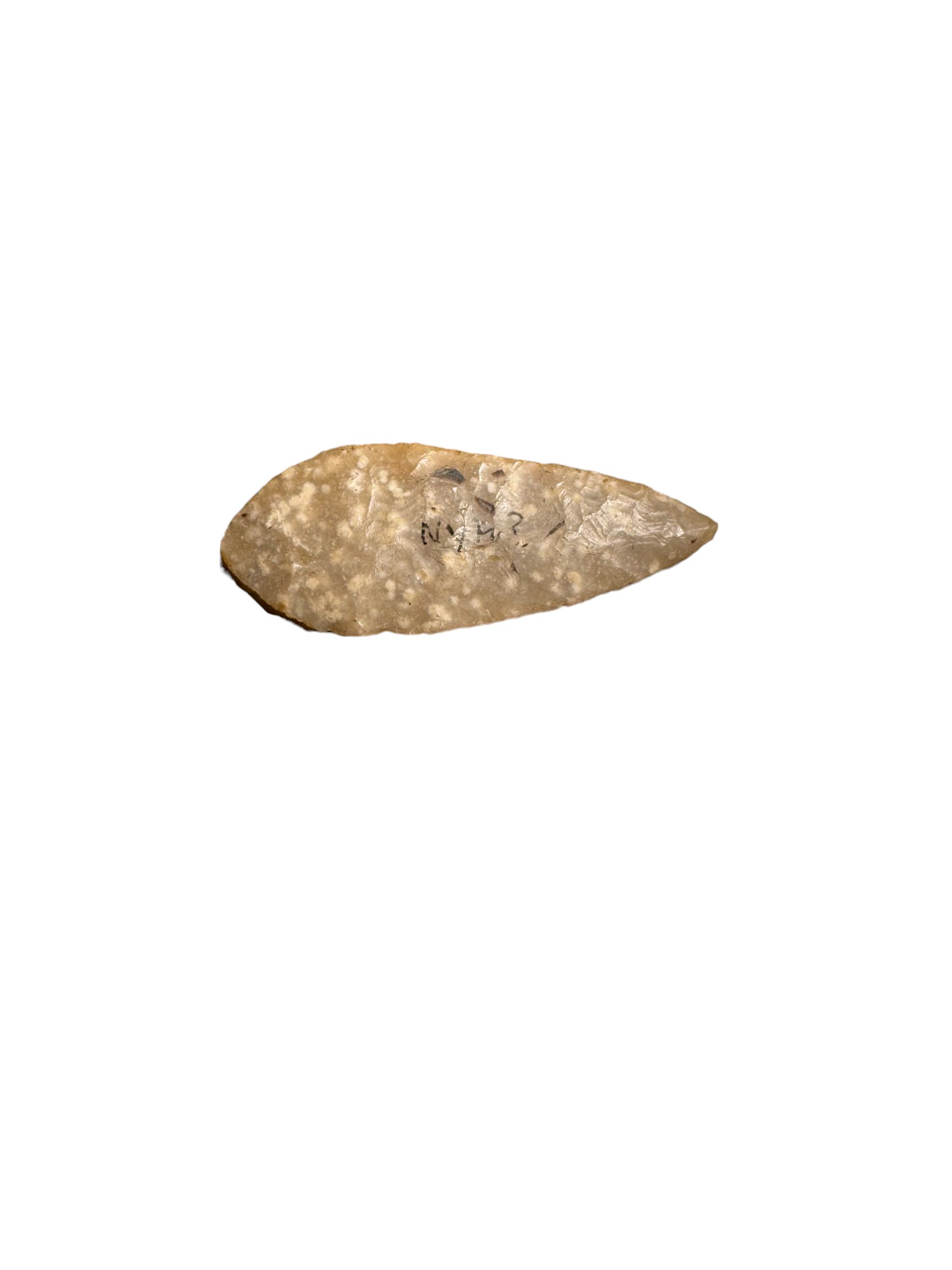 Antiquities: English Neolithic Stone Age Arrow Head, Yorkshire Find