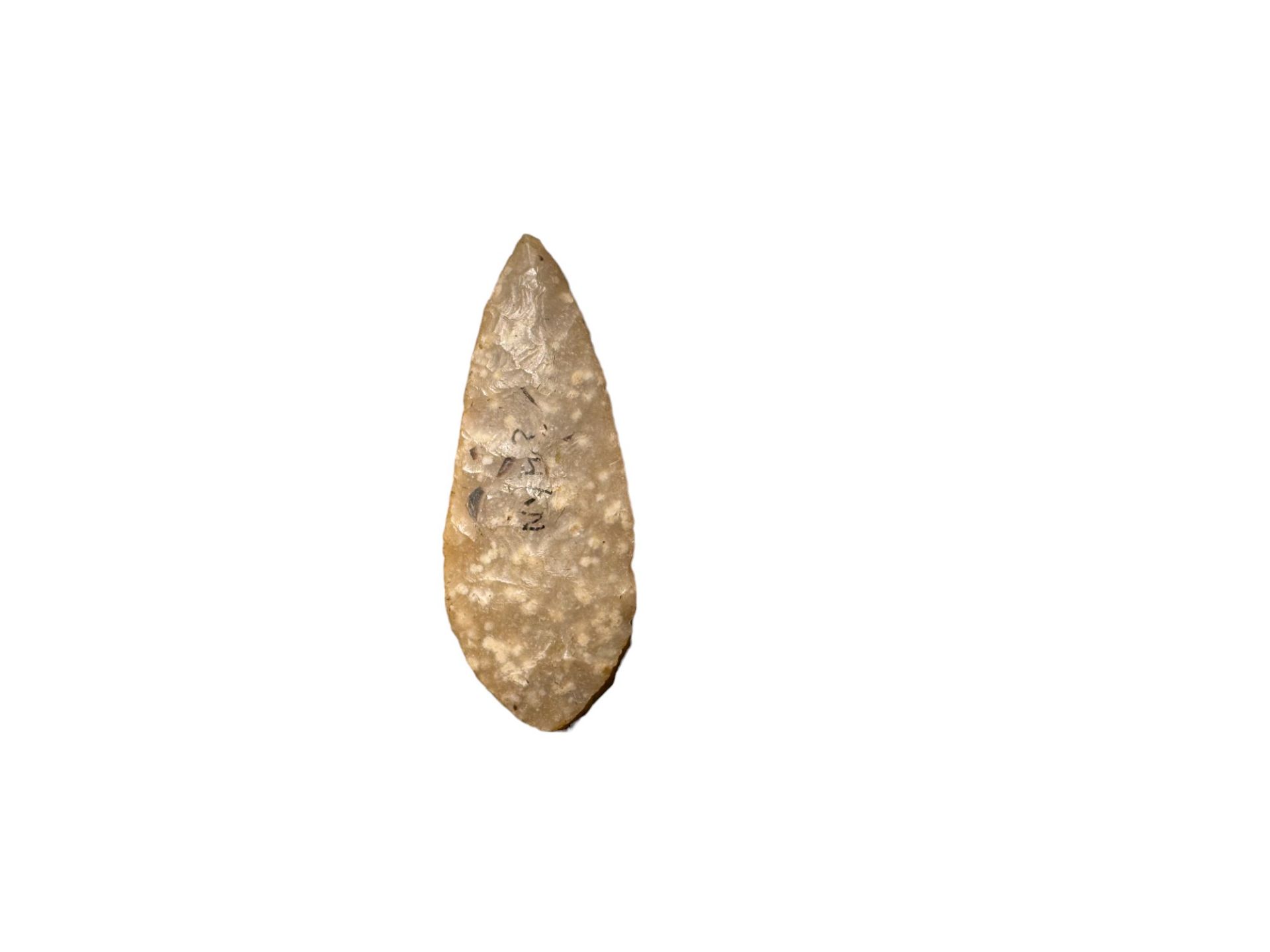 Antiquities: English Neolithic Stone Age Arrow Head, Yorkshire Find