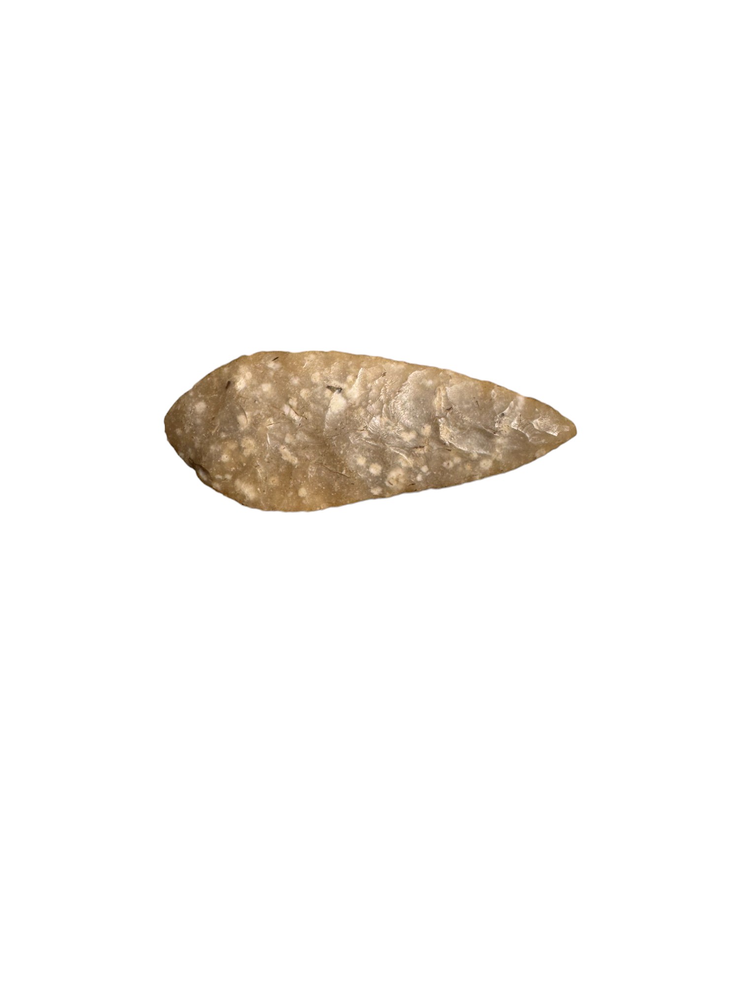 Antiquities: English Neolithic Stone Age Arrow Head, Yorkshire Find - Image 2 of 2
