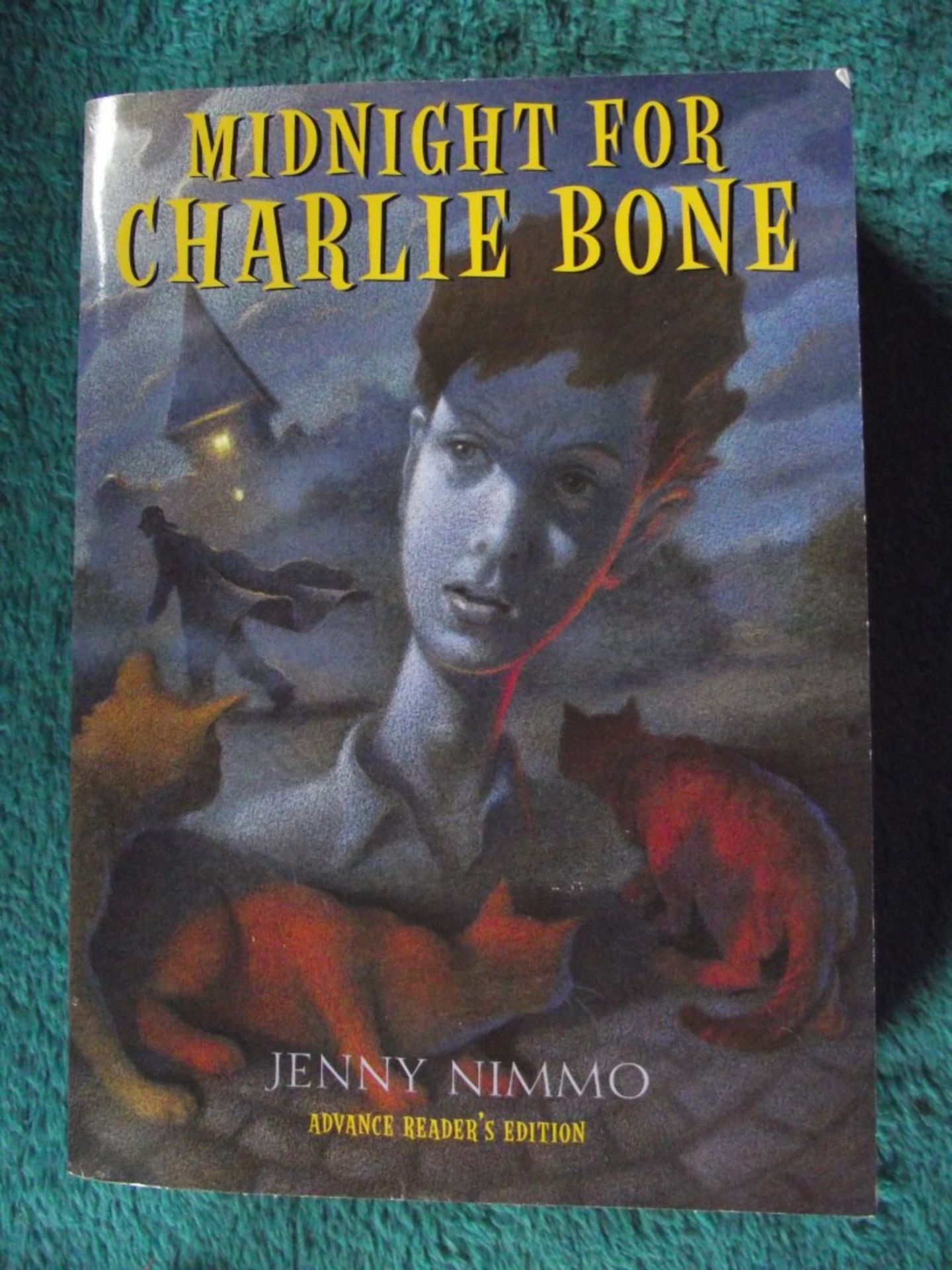 Jenny Nimmo - Children of The Red King (Charlie Bone) - 13 Books - All 1st/1st & Signed - Unrea... - Image 44 of 63