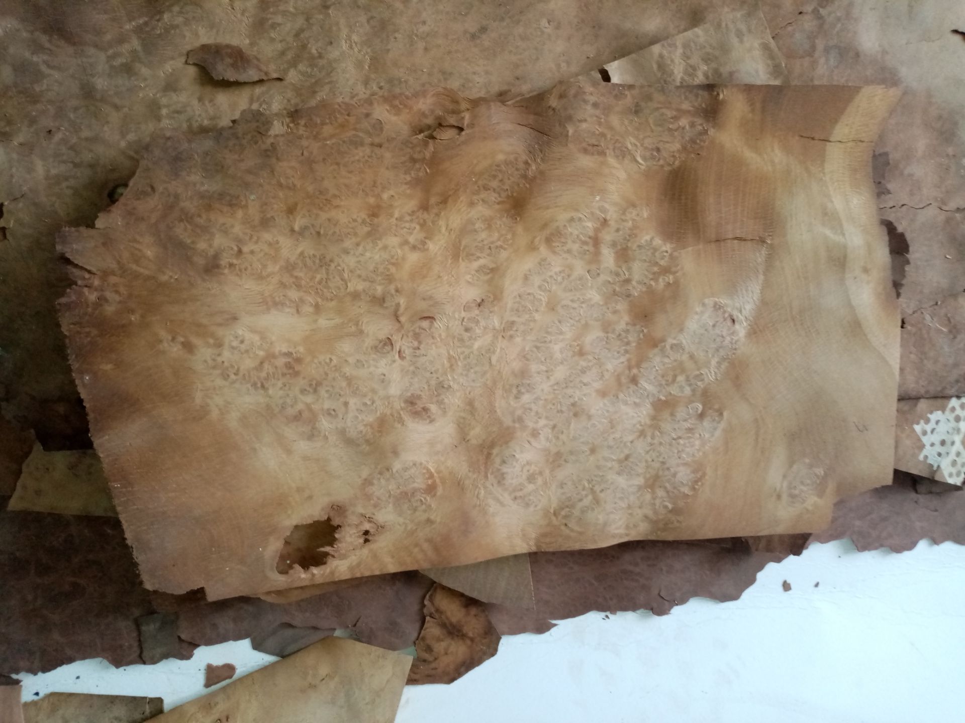 Large Quantity of Exotic Antique Walnut Veneers Inc. Burl, Oyster, Etc. Up To 1M In Length - Image 5 of 8