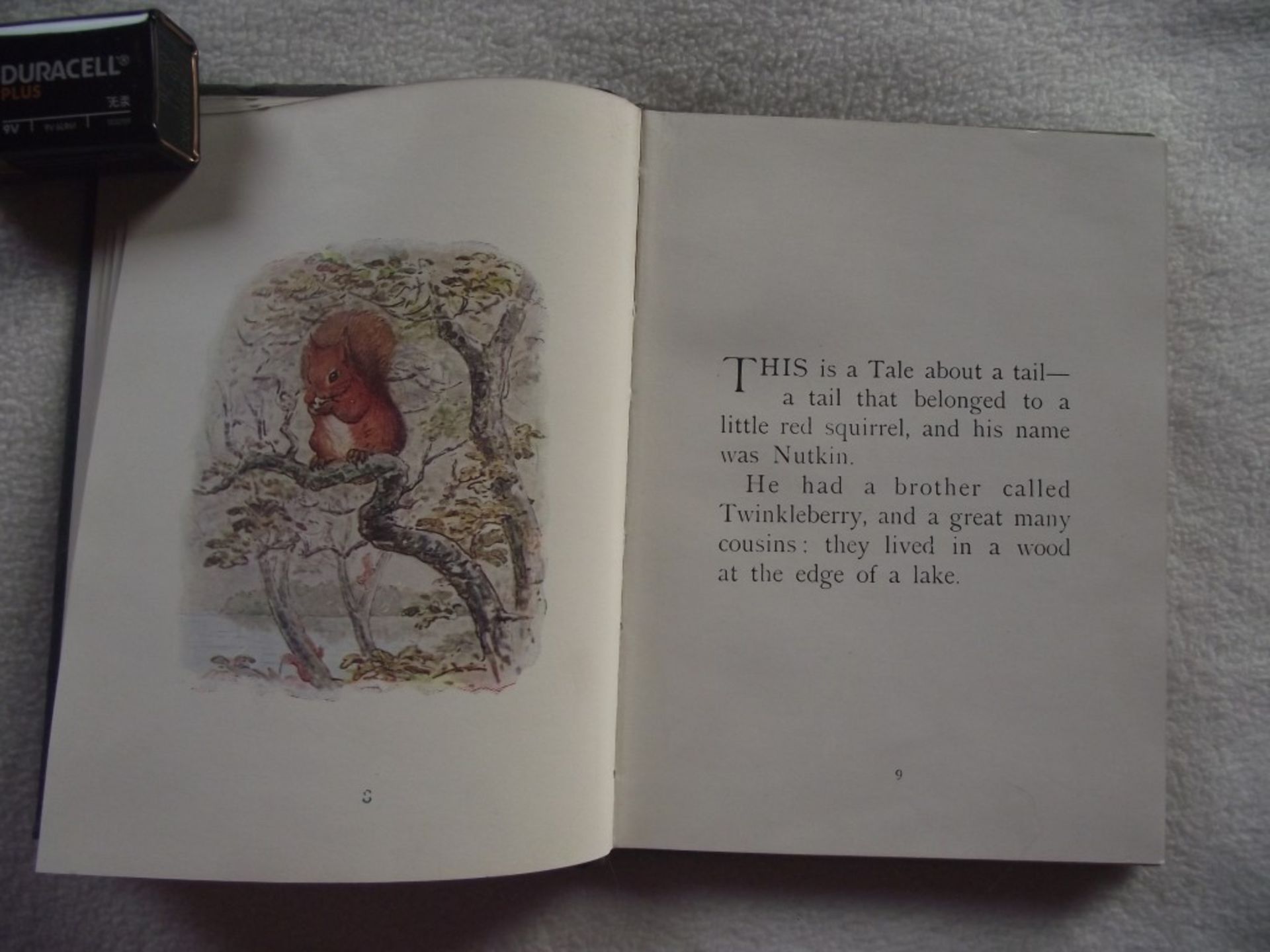 The Tale of Squirrel Nutkin By Beatrix Potter - Frederick Warne and Co. - Ca. 1904 - Image 7 of 27