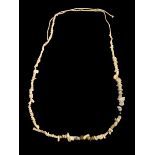 Ancient Egyptian Restrung Shell Bead Necklace Antiquities Interest