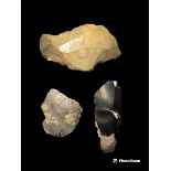 Three Neolithic Flint Tools Found In Maidenhead Berkshire