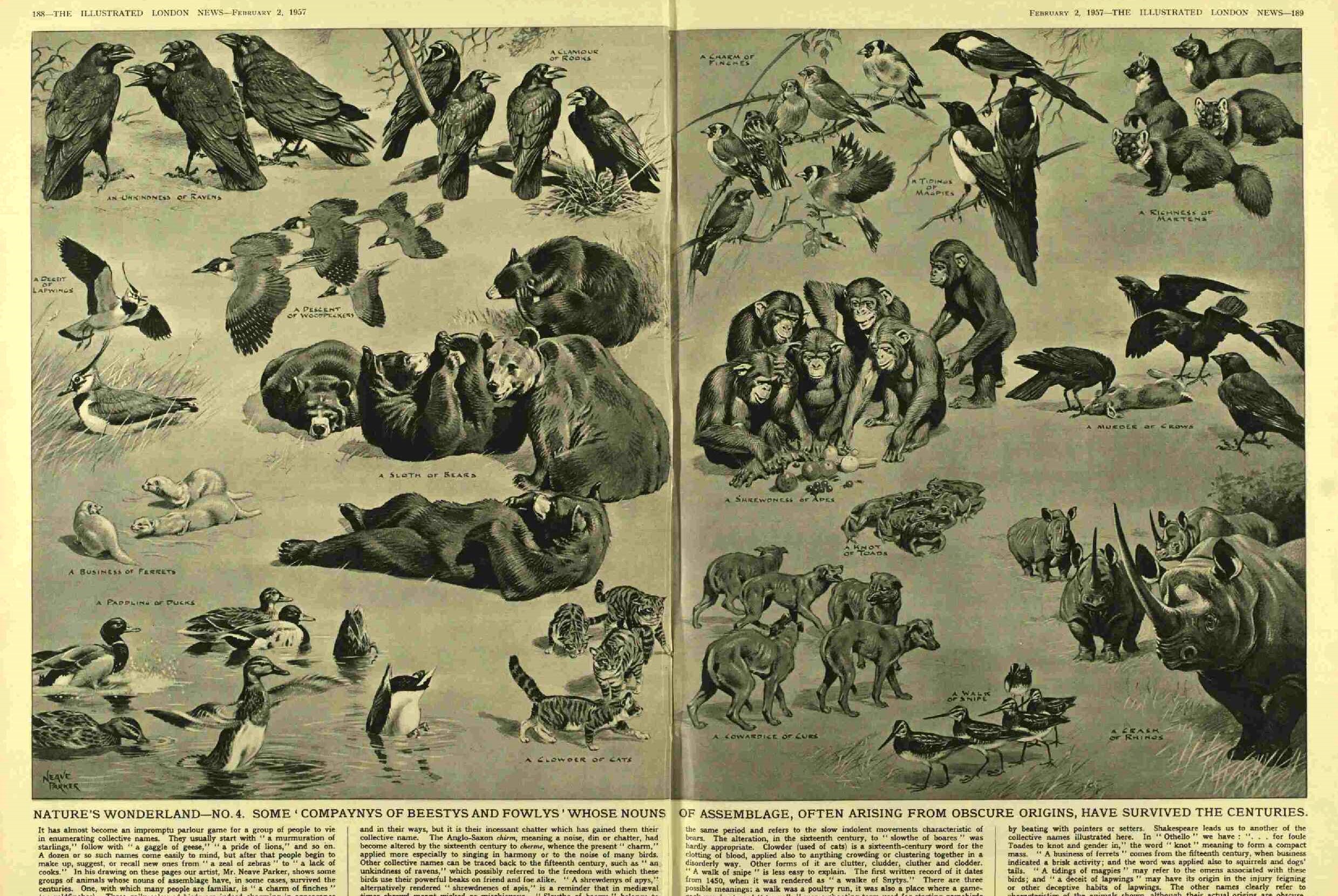 Illustrated London News 67 Year Old Bound Edition 1957 Jan-March Over 600 Pages. - Bild 9 aus 12