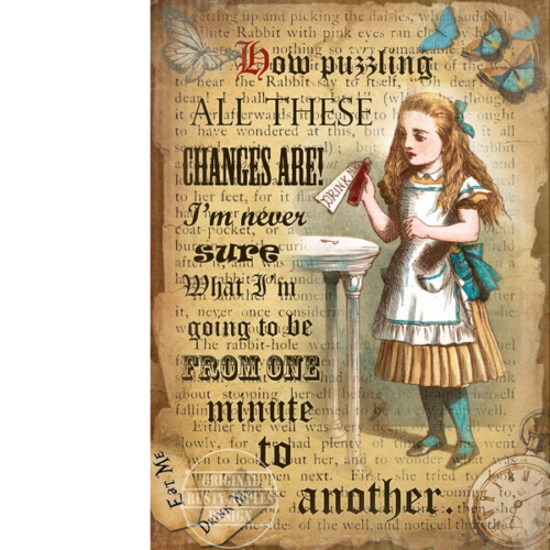 Alice In Wonderland ""How Puzzling"" Designed Quote Metal Wall Art