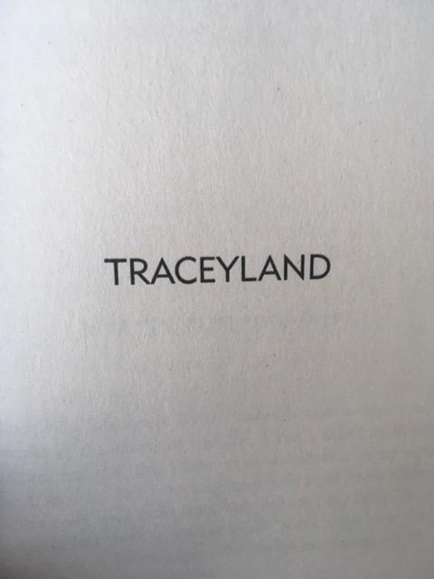 Tracey Emin (b1963) Strangeland, Jagged Recollections of A Beautiful Mind, Softback, First Editio... - Image 4 of 5