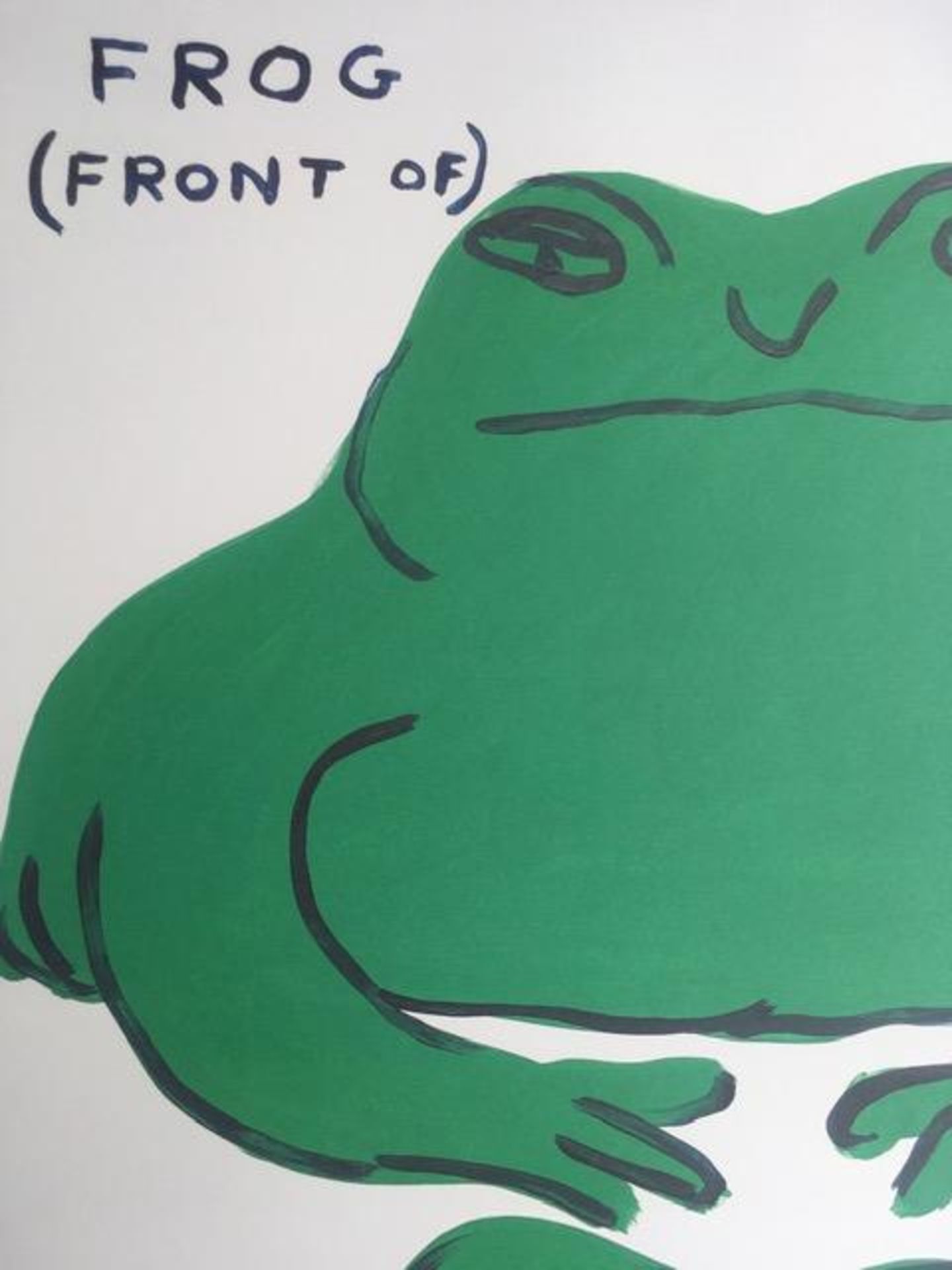 David Shrigley OBE (b 1968) ‘Frog (Front Of), Frog (Back Of)’ Offset Lithograph, Edition, 2021 - Image 2 of 5