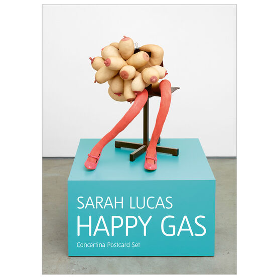 Sarah Lucas (b 1962) ‘Bunny Series’, Concertina Postcard Book, Happy Gas Exhibition, Discontinued... - Image 2 of 16