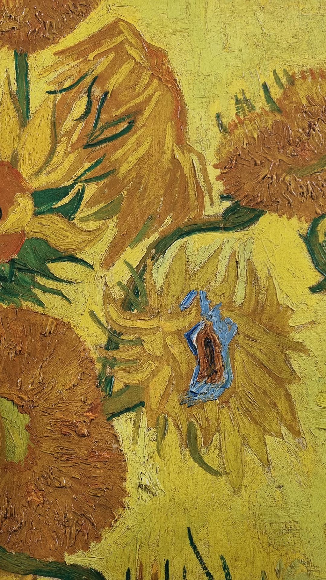 Rare Limited Edition Vincent Van Gogh ""Sunflowers"" One of only 75 Published. - Image 6 of 8