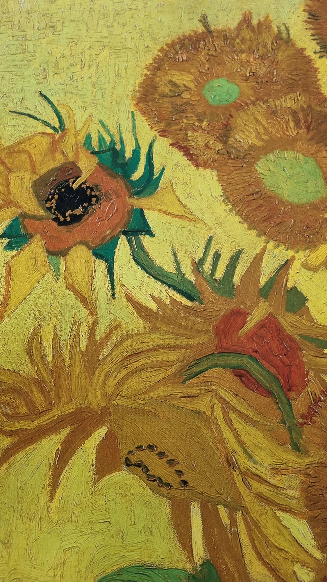 Rare Limited Edition Vincent Van Gogh ""Sunflowers"" One of only 75 Published. - Image 5 of 8