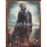 Rare Harry Potter and Voldemort Lenticular 3D Poster