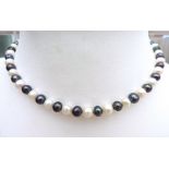 'New' Cultured Pearl Necklace Silver Clasp