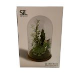 Sil Interiors Succulent Dome