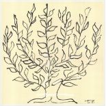 Henri Matisse 'Le Buisson' (The Bush). 2016