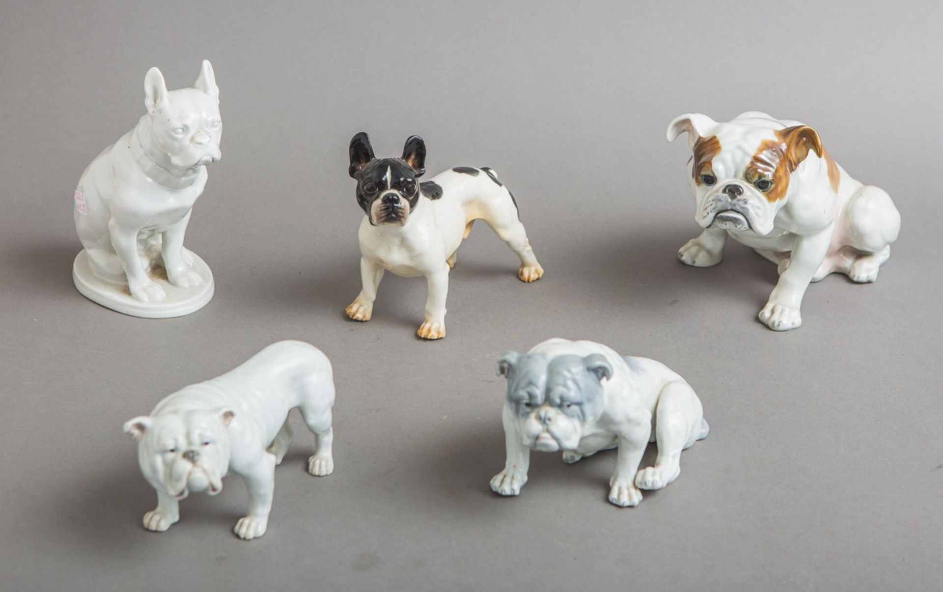 5-teiliges Konvolut von Porzellanfiguren, Englische und Französche Bulldoggen