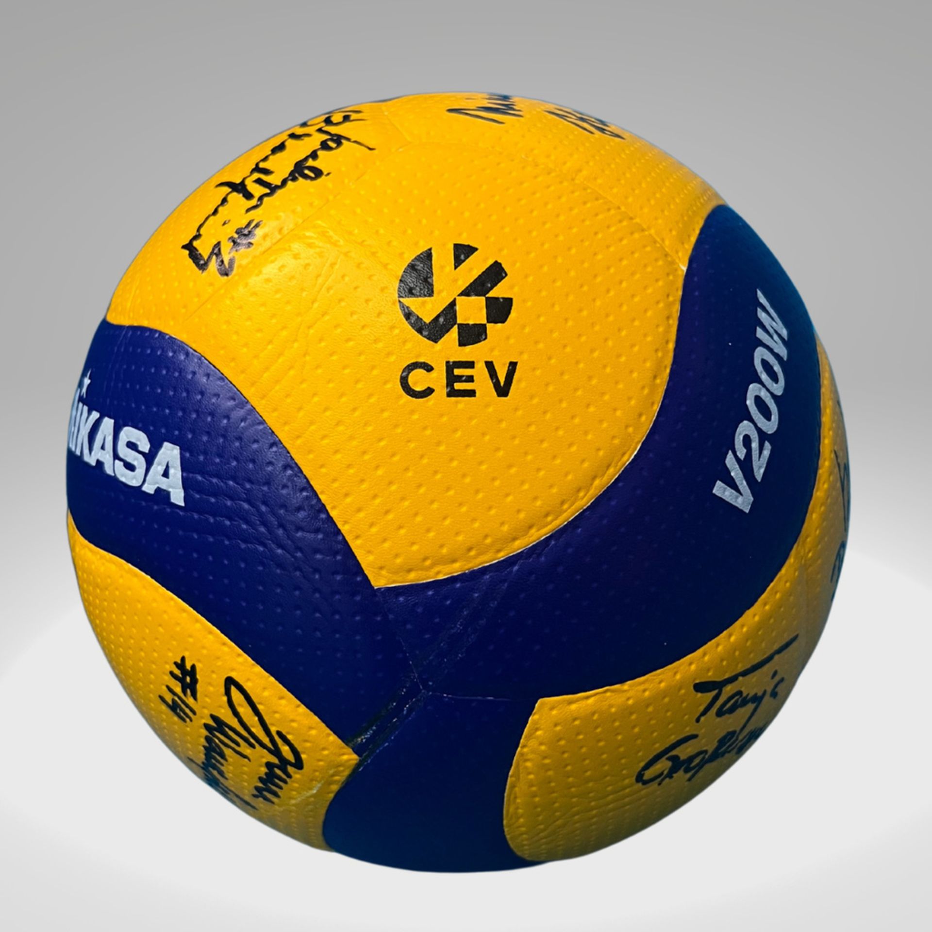 Original-Spielball CEV Challenge Cup 2023/24