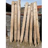 8 x 8' Fencing posts - Subject to VAT