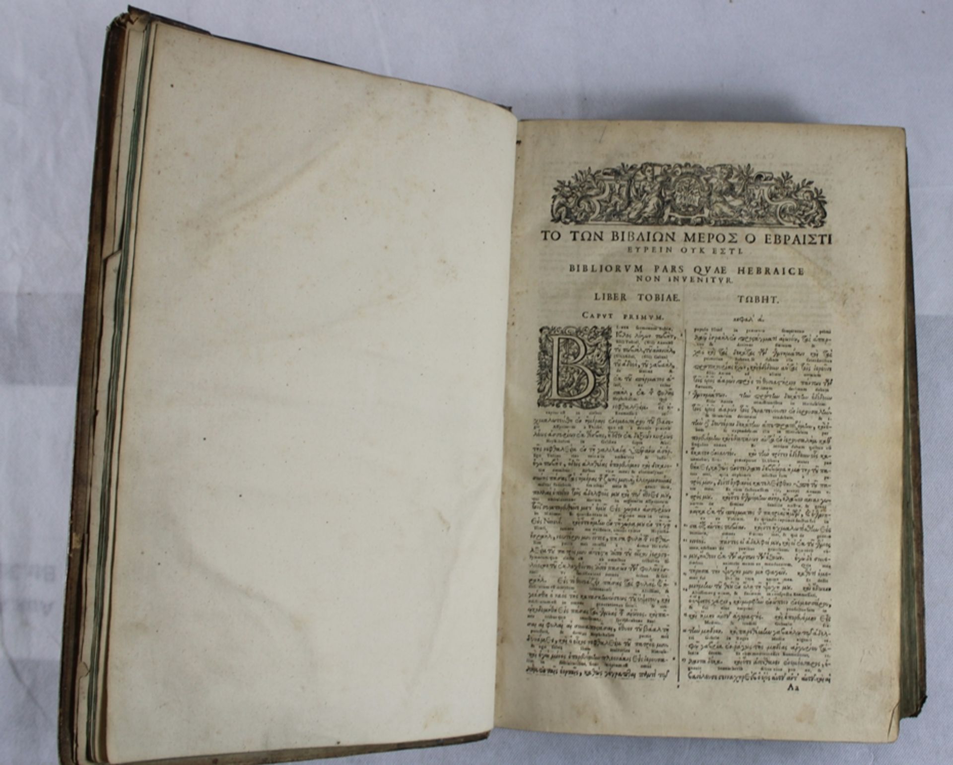 Buch Teil der Bibel in Latein / Griechisch wohl um 1600, "Bibliorum Pars Quae Hebraice Non Invenitu - Bild 2 aus 3