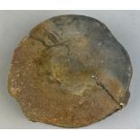 A LARGE ICHTHYOSAUR VERTEBRA FOSSIL 10cm x 10cm x 4cm Found in a quarry in Oxfordshire, from an