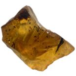 A VERY RARE DINOSAUR FEATHER FOSSIL IN BURMESE AMBER An extremely scarce double feather alongside