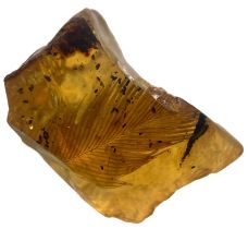 A VERY RARE DINOSAUR FEATHER FOSSIL IN BURMESE AMBER An extremely scarce double feather alongside