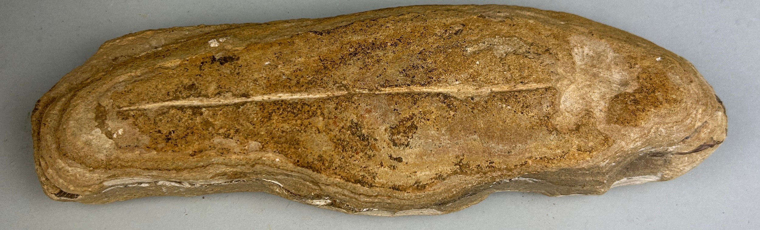 A FOSSIL FISH POSITIVE/NEGATIVE STONE 20cm L This stone was split open to reveal a complete fossil - Image 5 of 5