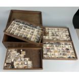 A GREGORY BOTTLEY CASED COLLECTION OF FOSSILS, Four wooden trays contained in a wooden box.