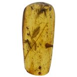 A VERY RARE DOUBLE DINOSAUR FEATHER FOSSIL IN BURMESE AMBER An extremely scarce double feather