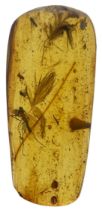 A VERY RARE DOUBLE DINOSAUR FEATHER FOSSIL IN BURMESE AMBER An extremely scarce double feather