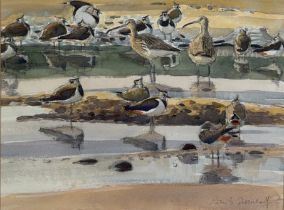 ROBERT GREENHALF (B.1950) A WATERCOLOUR ON PAPER DEPICTING CURLEWS AND OTHER SEA BIRDS 40cm x