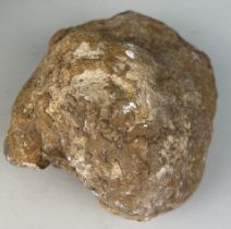 A LARGE DINOSAUR ‘COPROLITE’ OR FOSSIL POO FROM UTAH A very large dinosaur coprolite or ‘fossil poo’