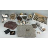 A LARGE COLLECTION OF FOSSILS AND NATURAL HISTORY INTEREST (Qty)
