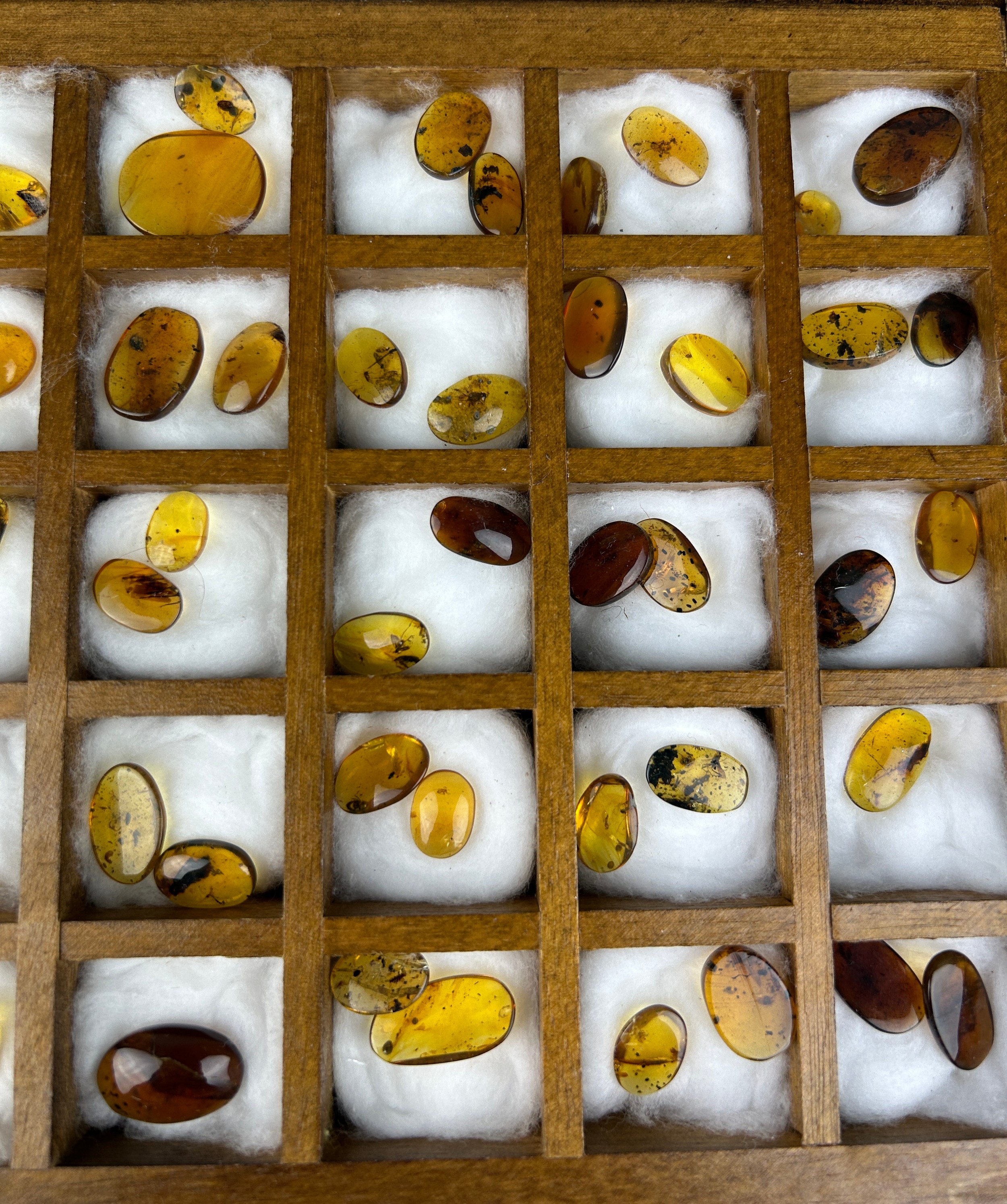 A LARGE COLLECTION OF AMBER WITH INSECT FOSSILS An exceptional grouping of insects in amber from the - Image 3 of 5