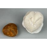 A PAIR OF FOSSIL SEA URCHINS Finely presented on a block of chalk, another preserved in flint.