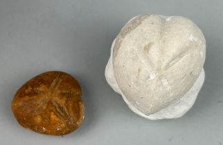 A PAIR OF FOSSIL SEA URCHINS Finely presented on a block of chalk, another preserved in flint.